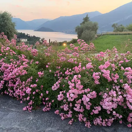 Hébergement de vacances Casa Aurea