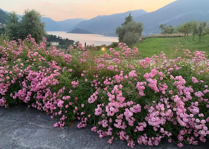 Holiday home Casa Aurea